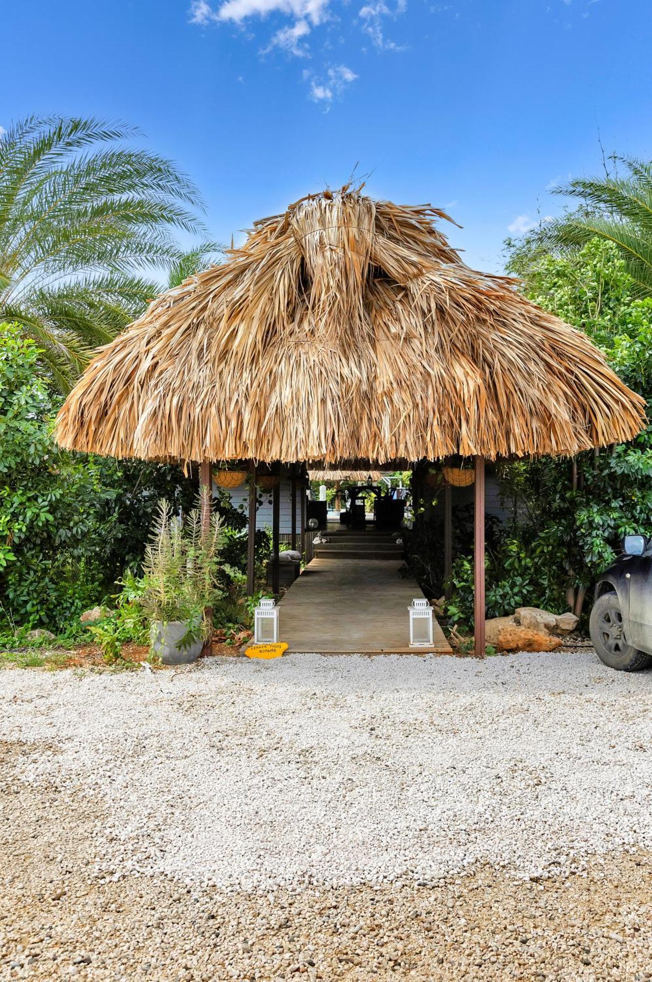 Red Palm Village Playa Exteriör bild