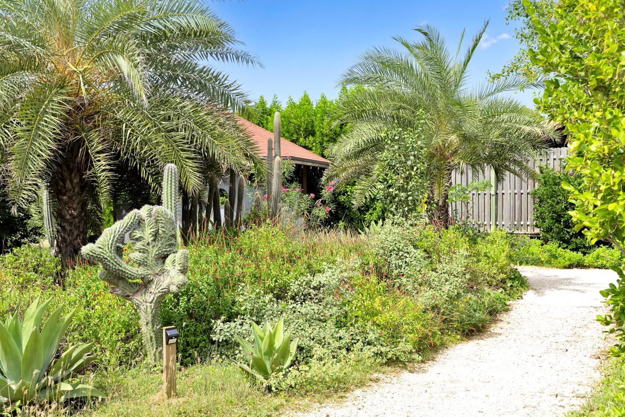 Red Palm Village Playa Exteriör bild