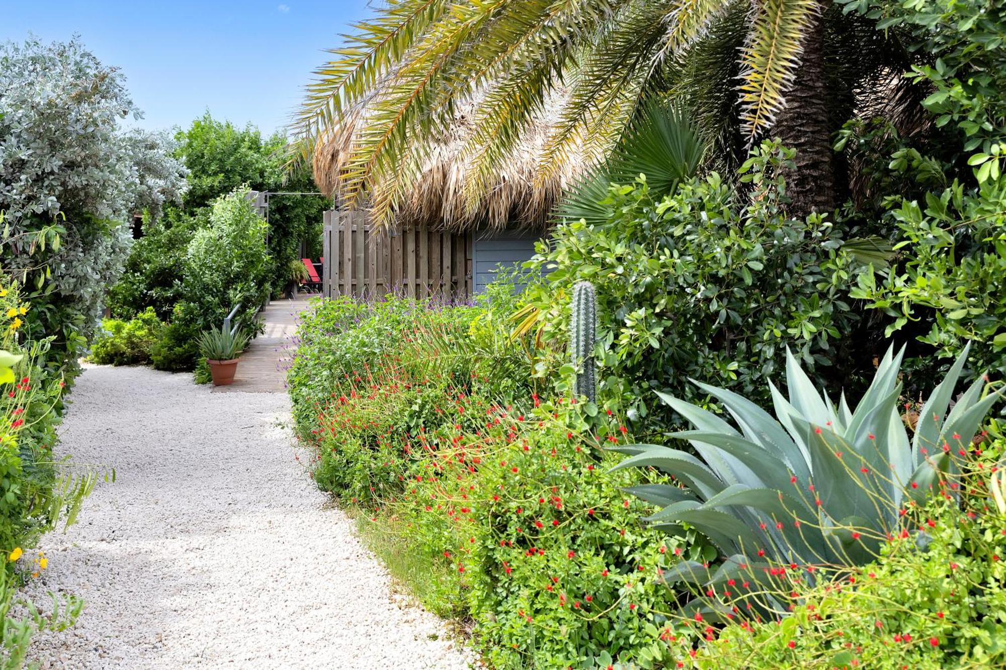 Red Palm Village Playa Exteriör bild