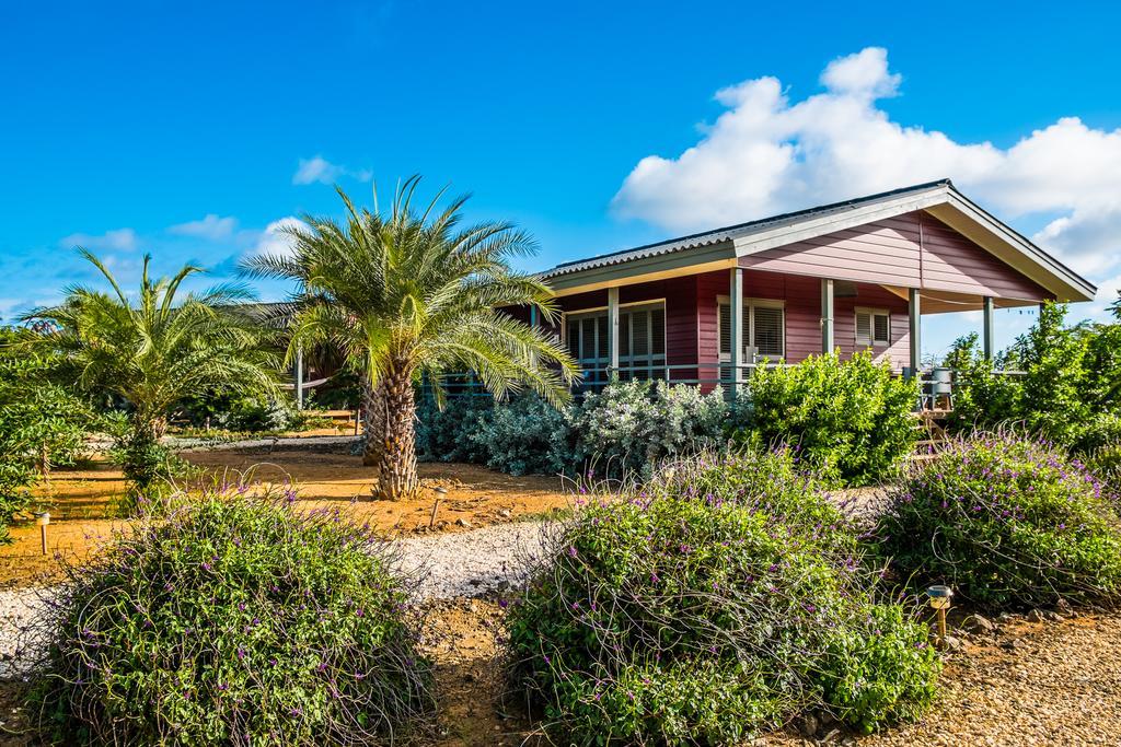Red Palm Village Playa Exteriör bild