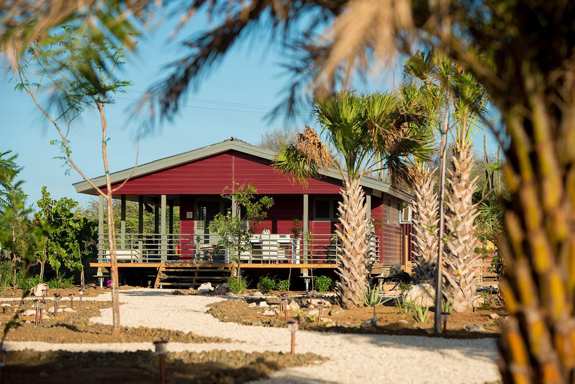 Red Palm Village Playa Exteriör bild