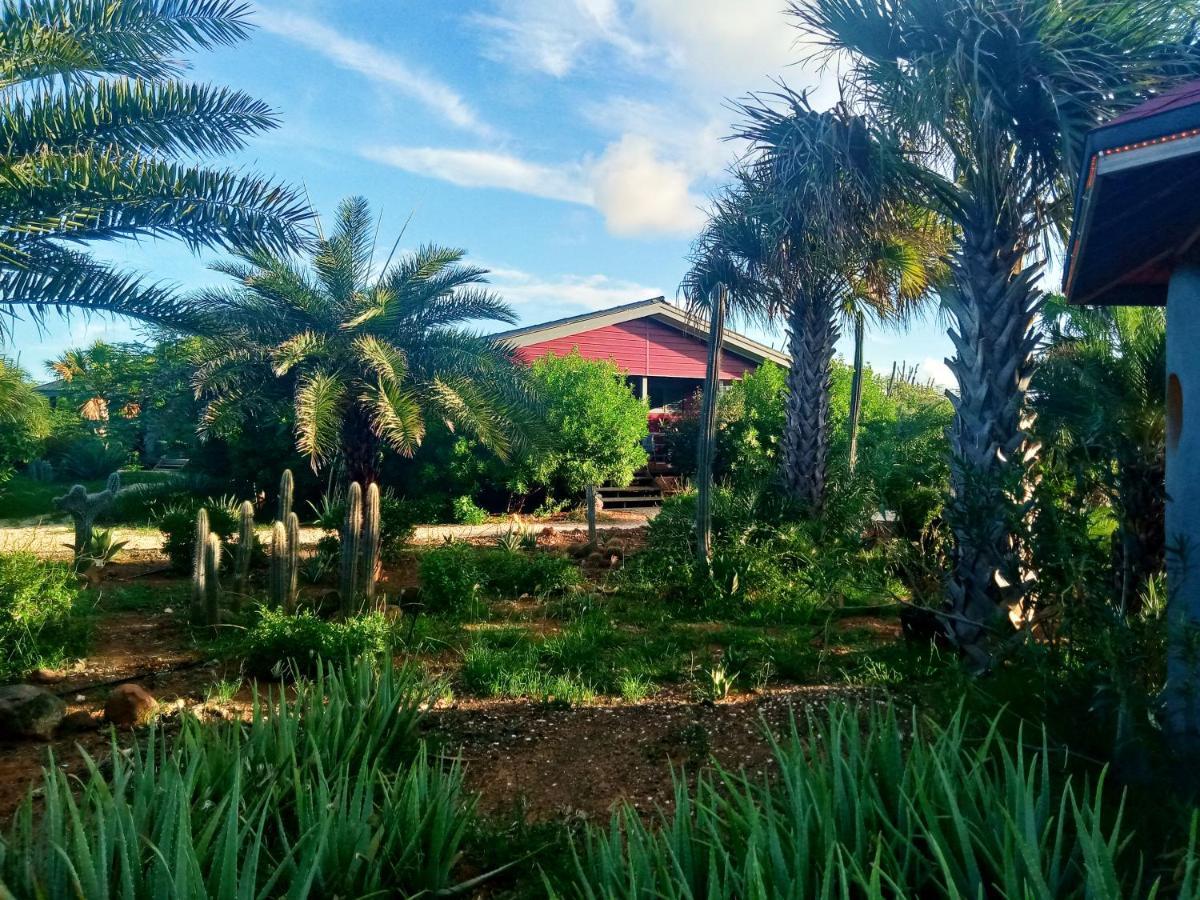 Red Palm Village Playa Exteriör bild