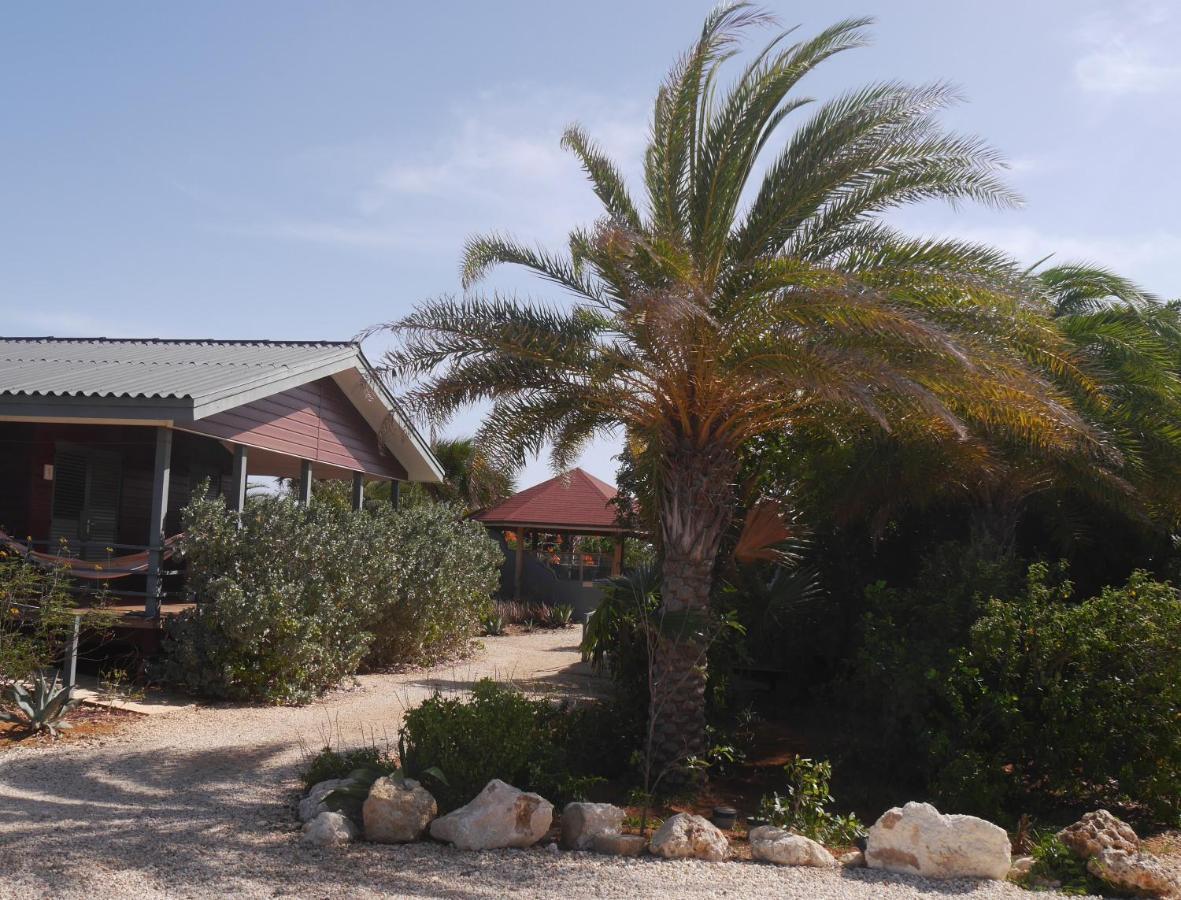 Red Palm Village Playa Exteriör bild