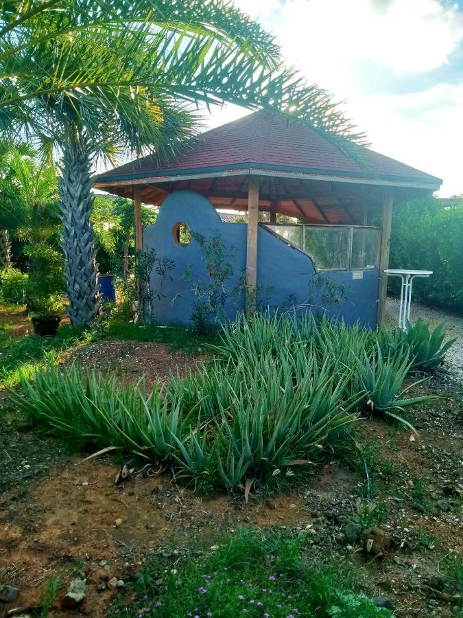 Red Palm Village Playa Exteriör bild
