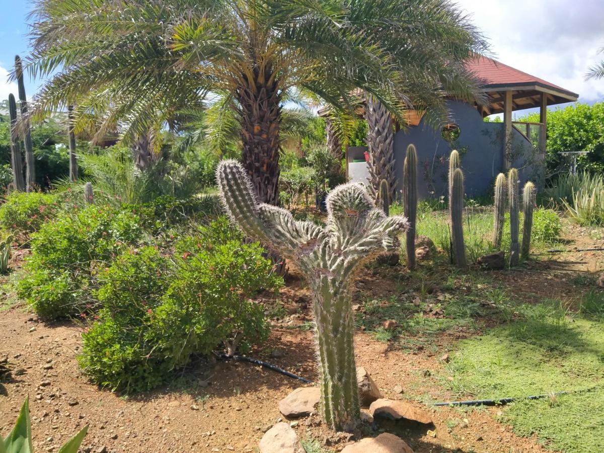 Red Palm Village Playa Exteriör bild