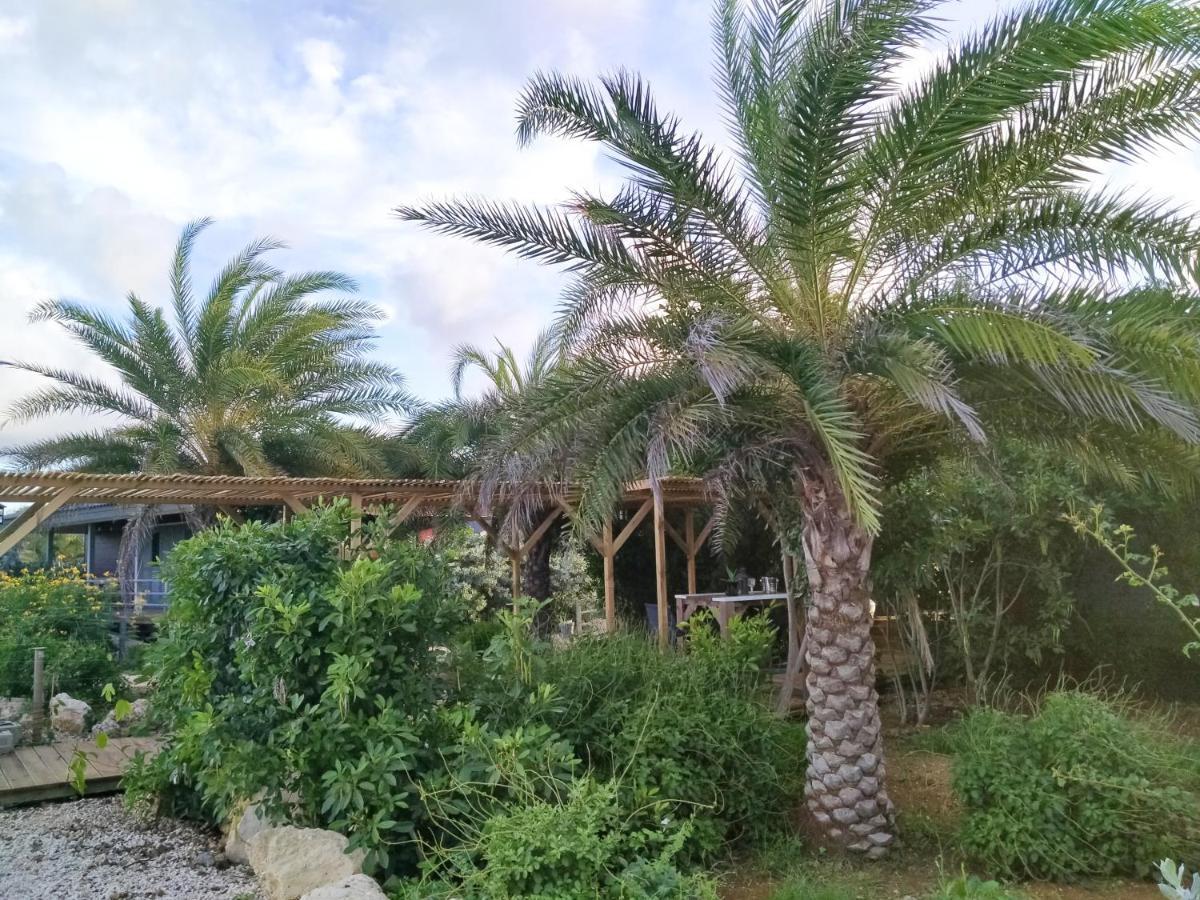 Red Palm Village Playa Exteriör bild